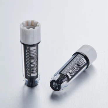 艾本德Eppendorf CryoStorage Vial，無(wú)菌, 無(wú)菌, 0.5 mL, 不含 DNase、RNase、人類 DNA 和內(nèi)毒素；外螺紋，預(yù)先加蓋灰色管蓋，帶 2D SafeCode 